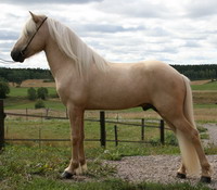 mi, ext liten