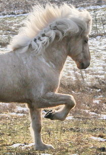 Skýr4feb08 078bb Skýr4feb08 078bb