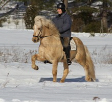 Skyr17feb12b Skyr17feb12b