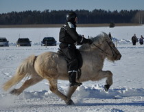 Thoravldurfeb11b Thoravldurfeb11b